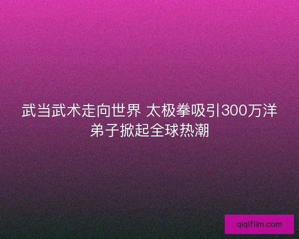 武当武术走向世界 太极拳吸引300万洋弟子掀起全球热潮
